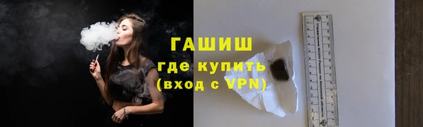 прущие грибы Белокуриха